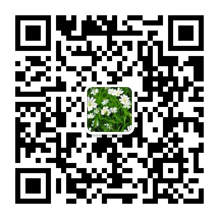 sophie wechat